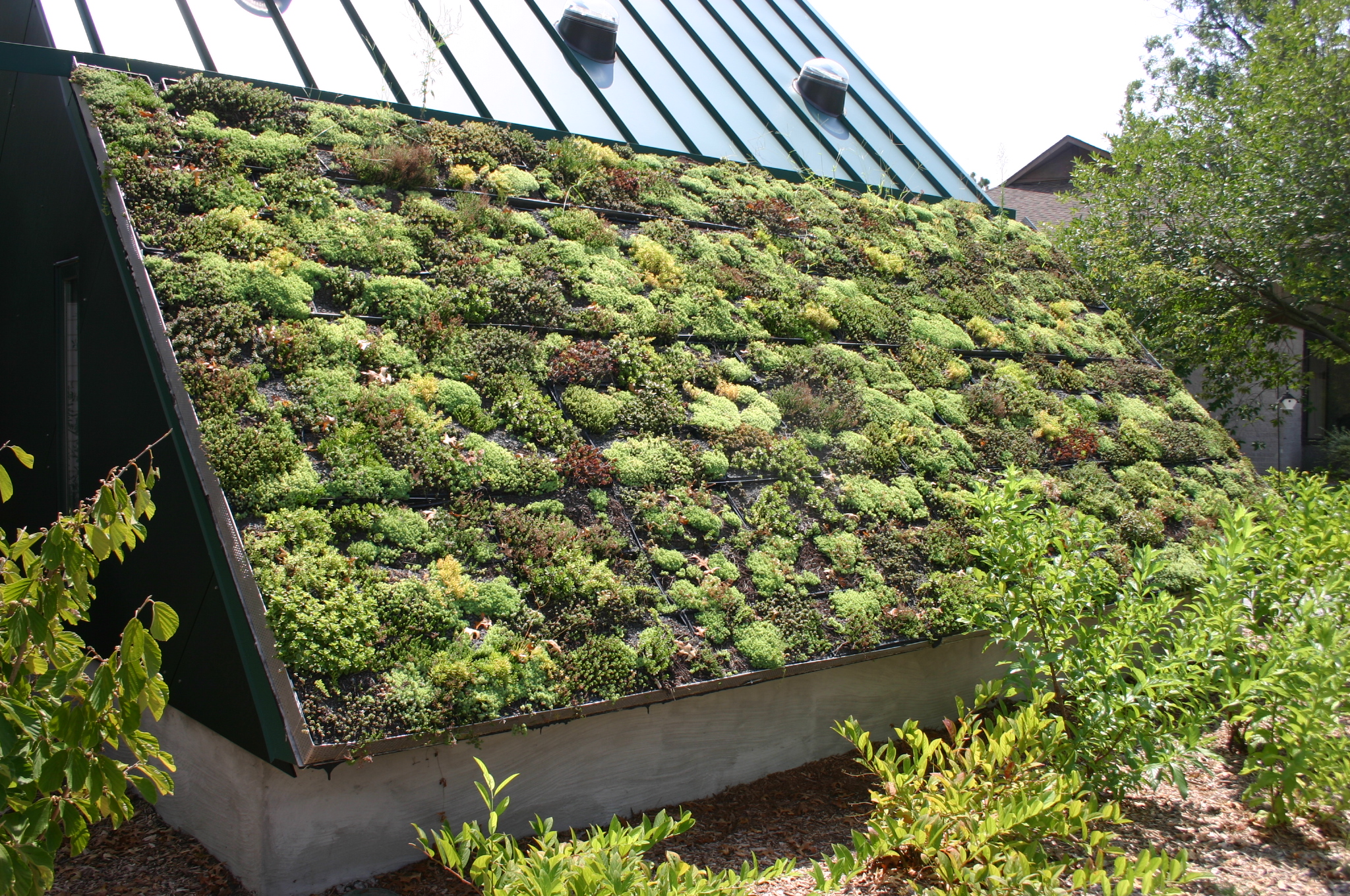 Awesome Green Roof Blogs